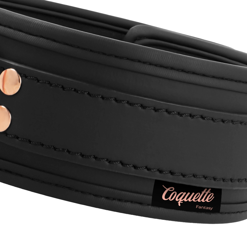 COQUETTE CHIC DESIRE - FANCY NECKLACE IN VEGAN LEATHER WITH BRACELET AND NEOPRENE LINING