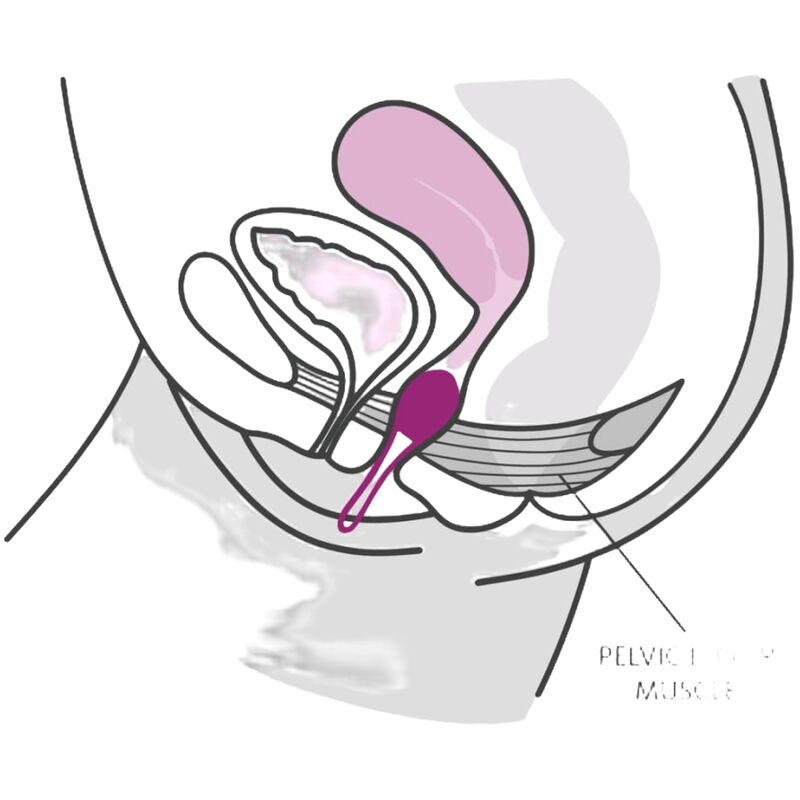 FUN FACTORY - BOLA PÉLVICA SMARTBALL UNO BRANCO / ROXO PASTEL