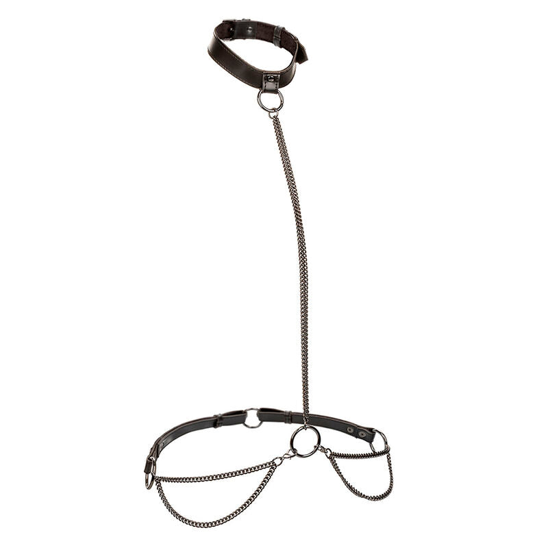 CALEXOTICS - EUPHORIA COLLAR AND CHAIN LEASH