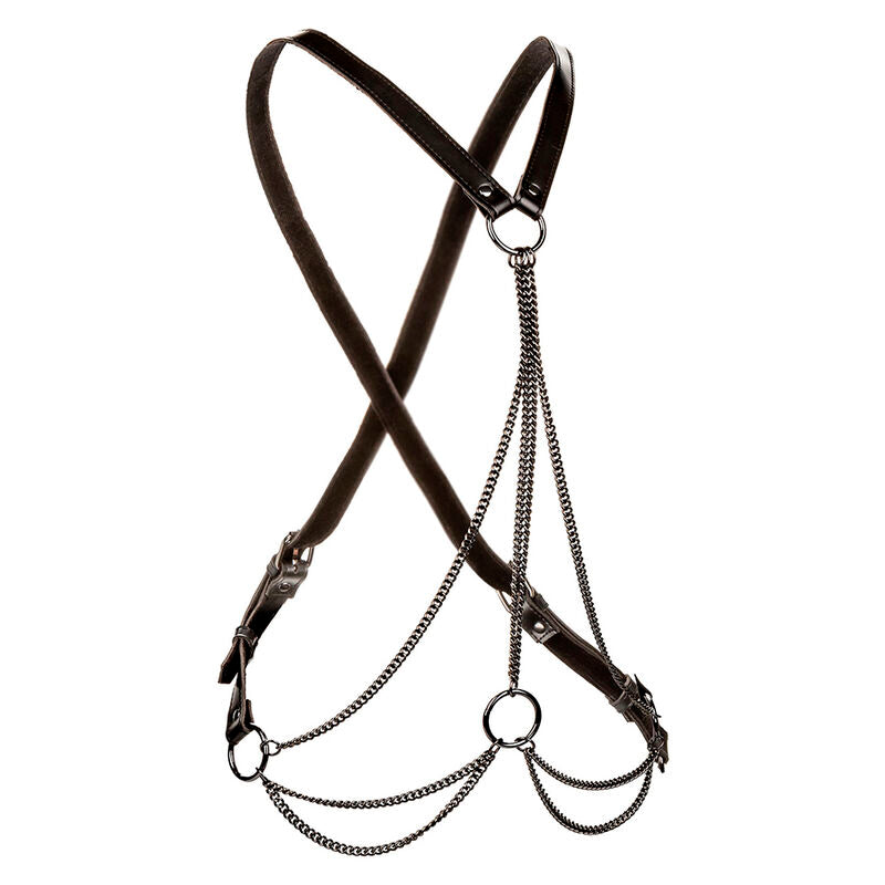 CALEXOTICS - EUPHORIA PREMIUM MULTI-CHAIN HARNESS LARGE SIZE
