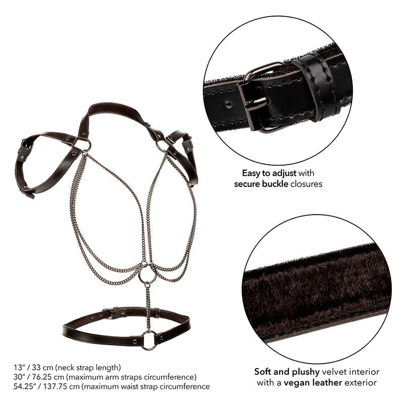 CALEXOTICS - EUPHORIA PREMIUM MULTI-CHAIN HARNESS HALTER LARGE SIZE