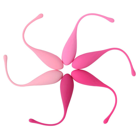 LESLIE - KEGEL FIT Conjunto de treinamento muscular pélvico de 6 peças