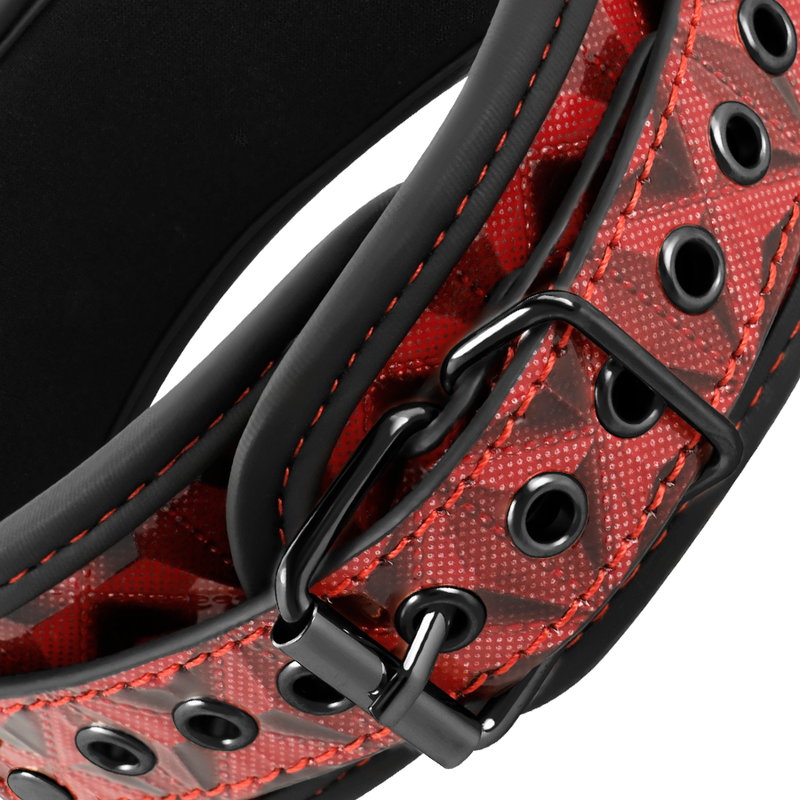 BEGME - RED EDITION COLLAR WITH TELEMON CLIPS WITH NEOPRENE LINING