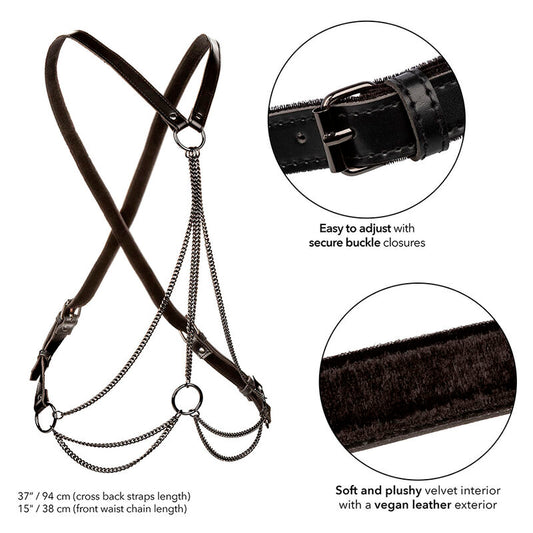 CALEXOTICS - EUPHORIA PREMIUM MULTI-CHAIN ​​HARNESS